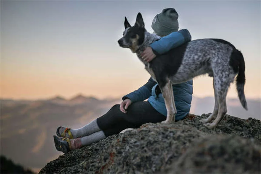 【経験談】犬の里親になる前に絶対にやっちゃいけない6つのNG行動